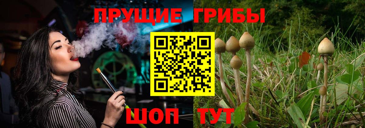 Галлюциногенные грибы GOLDEN TEACHER Заводоуковск