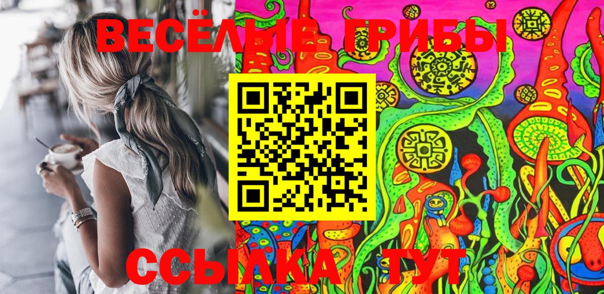 Псилоцибиновые грибы Cubensis  Псилоцибиновые грибы Magic Shrooms  Вход с VPN  Заводоуковск 